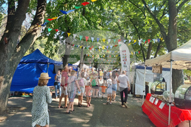 Видин - фестивал „Синия Дунав“