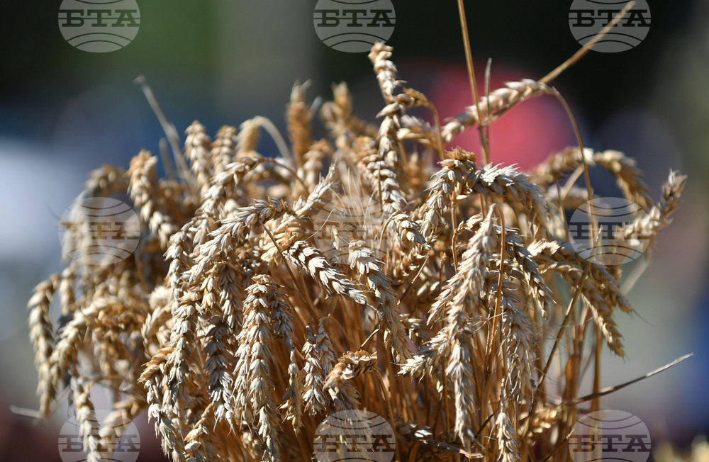 Протестен митинг срещу новите геномни техники в земеделието ще се състои днес в София