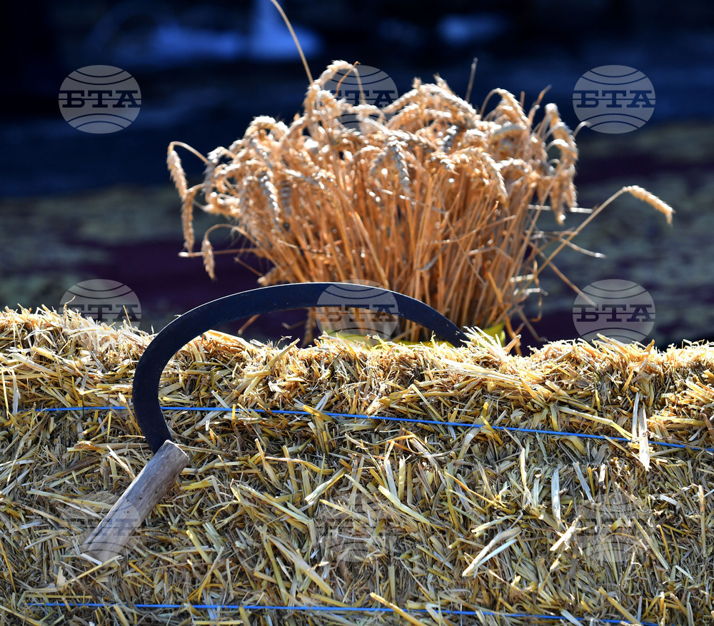 Село Каменово - Ден на хляба и плодородието