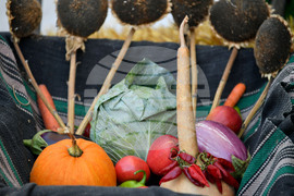 Село Каменово - Ден на хляба и плодородието