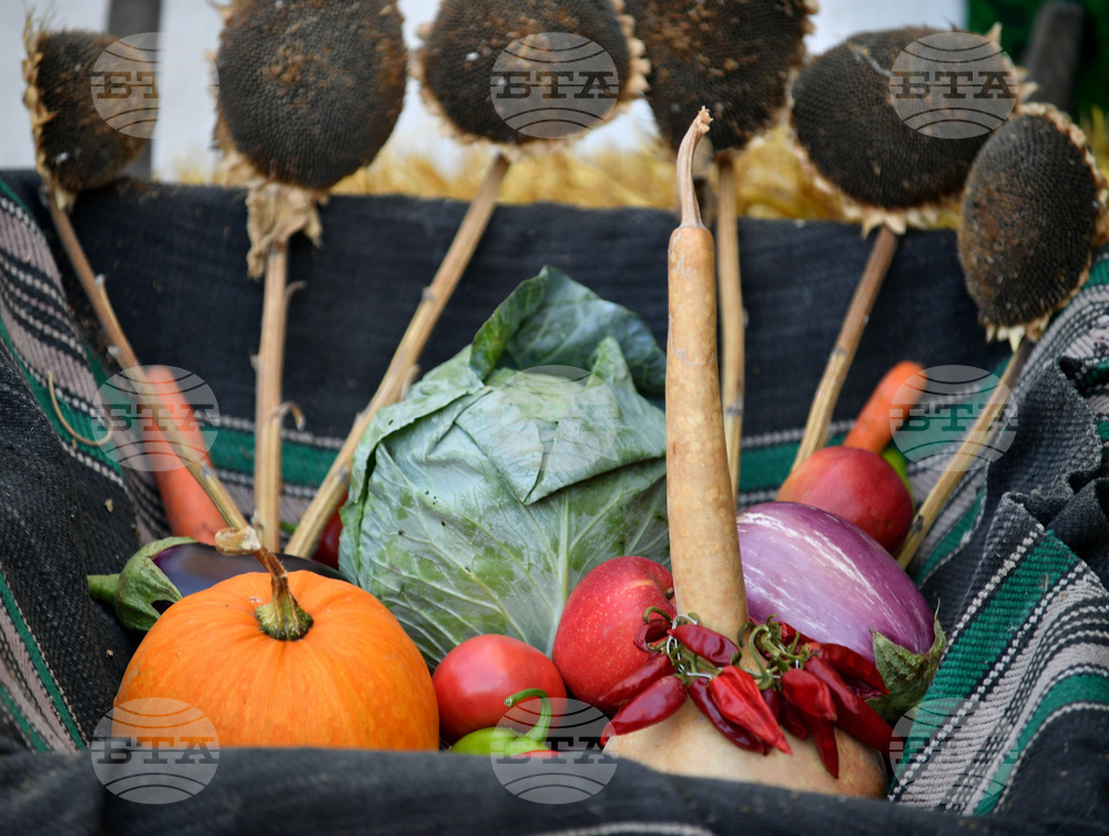 Село Каменово - Ден на хляба и плодородието