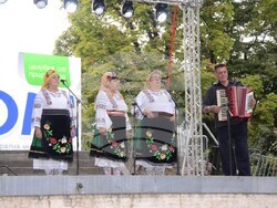 Снимка: Община Видин