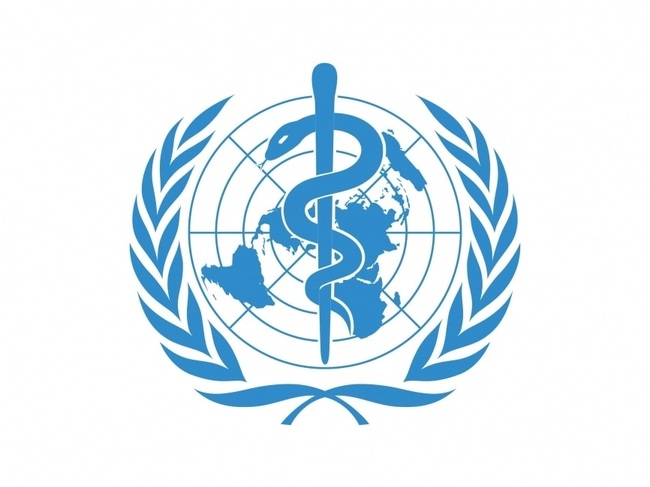 Government Endorses Composition of Bulgarian Delegations to World Health Assembly 79th Session, WHO's Executive Board 159th Session
