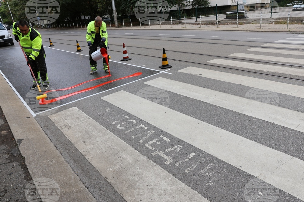 Workers are putting a specialty road dressing designed to slow down cars as they approach a pedestrian crossing in Sofia