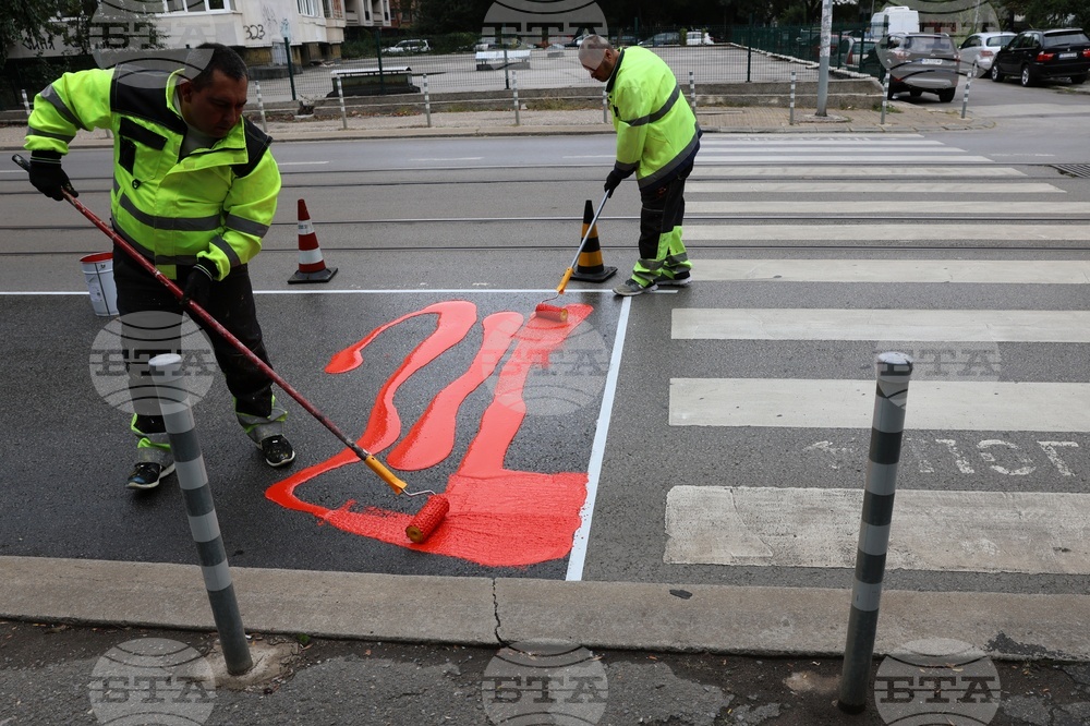 Workers are putting a specialty road dressing designed to slow down cars as they approach a pedestrian crossing in Sofia