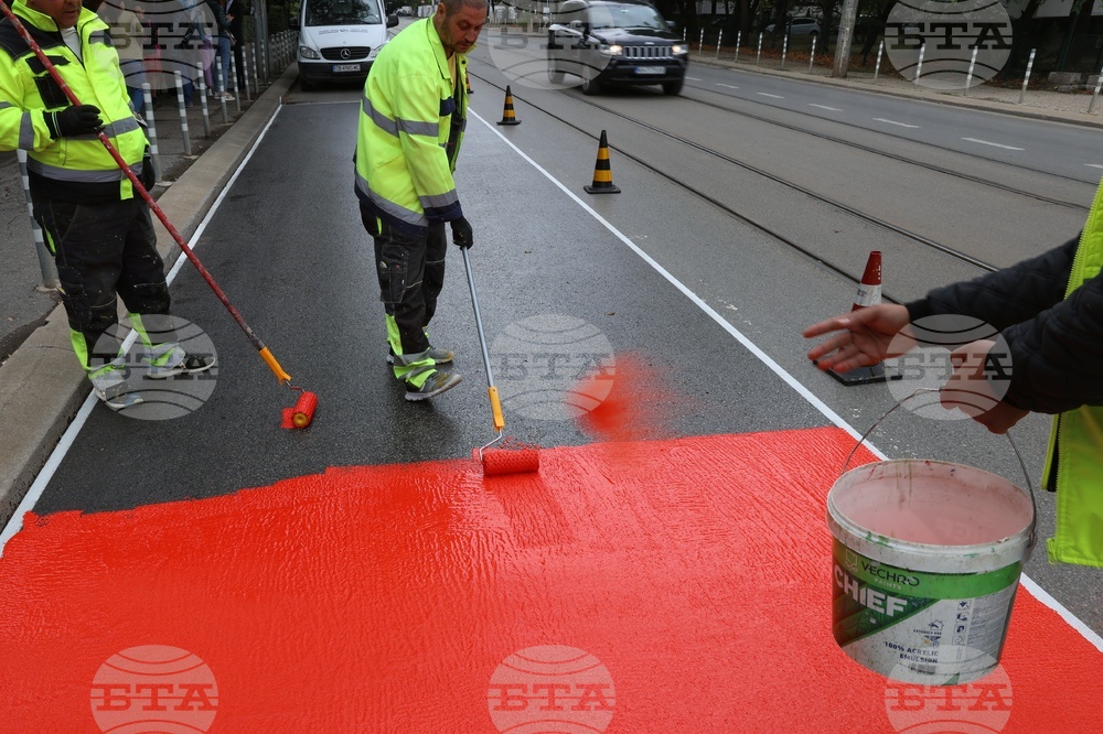 Workers are putting a specialty road dressing designed to slow down cars as they approach a pedestrian crossing in Sofia