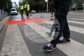 Workers are putting a specialty road dressing designed to slow down cars as they approach a pedestrian crossing in Sofia