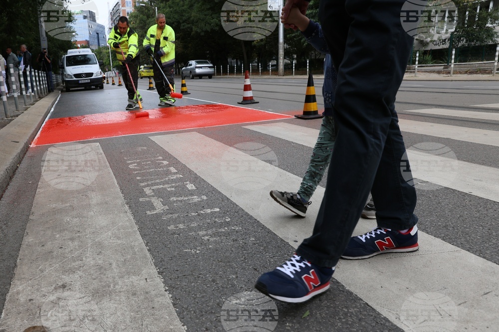 Workers are putting a specialty road dressing designed to slow down cars as they approach a pedestrian crossing in Sofia