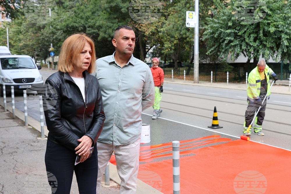 Workers are putting a specialty road dressing designed to slow down cars as they approach a pedestrian crossing in Sofia