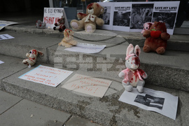 БСП - флашмоб - неутралитет