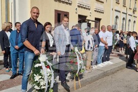 Видин - Съединение - честване - паметник на Скърбящия воин