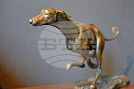 Варна - изложба