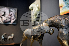 Варна - изложба