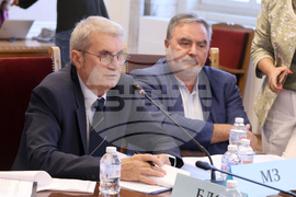 Парламент - Комисия по здравеопазването - Христо Хинков - изслушване