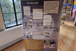 Видин - Културен център „Жул Паскин“ - безплатно посещение