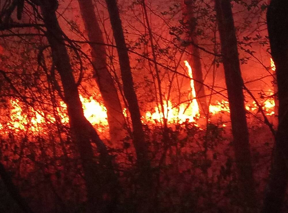 Аварийно звено-Петрич се включи в гасенето на пожара в землището на село Илинденци