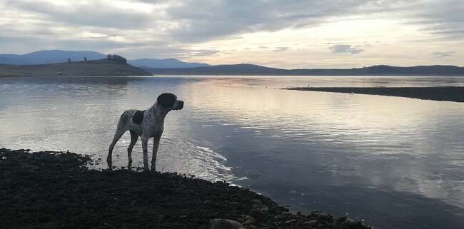 Техническото и експлоатационно състояние на язовирите „Жребчево“ и „Асеновец“ е много добро, установи проверка