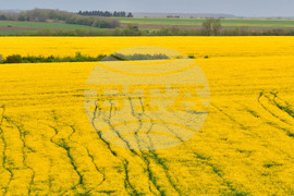 Село Лъвино - рапица