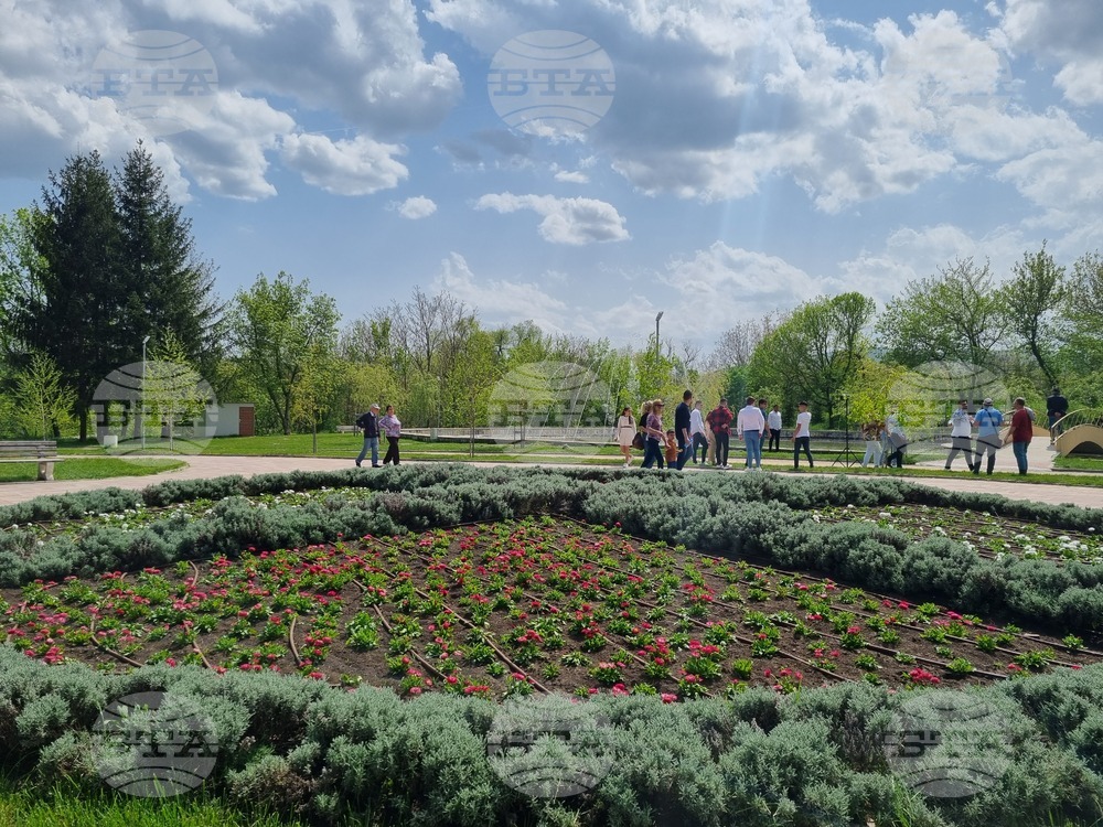 Регистрираната безработица в област Търговище бележи спад и през март