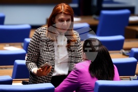 Парламент - заседание