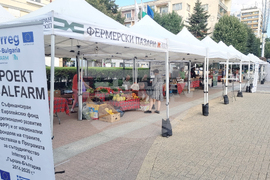 Хасково - проект - фермерски базар