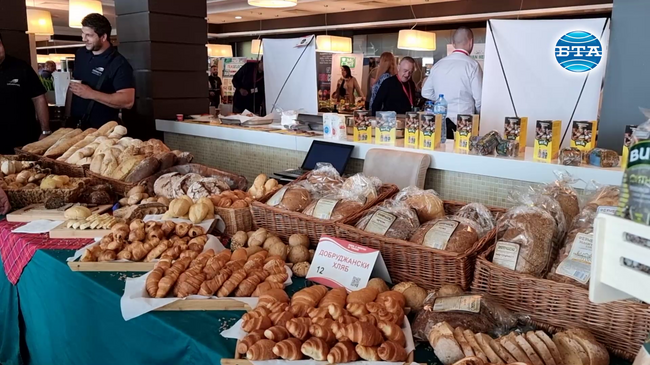 Нагласите на туристическия бранш са летния сезон да е по-добър от миналата година 