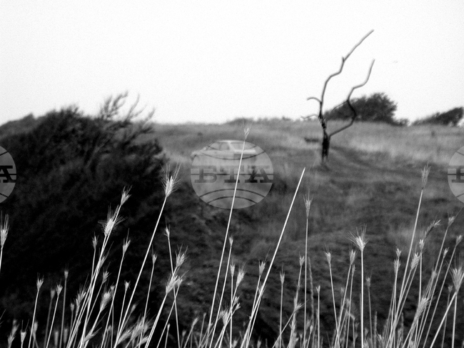 Село Варвара