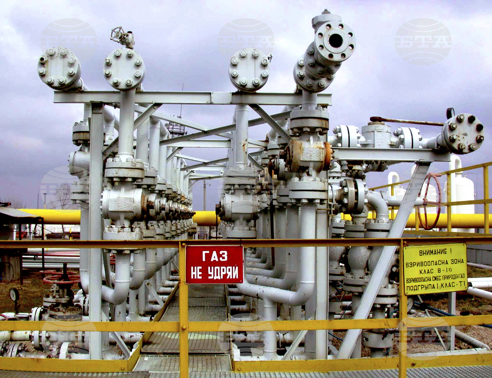 Employer Association Calls for Resumption of Russian Gas Supplies