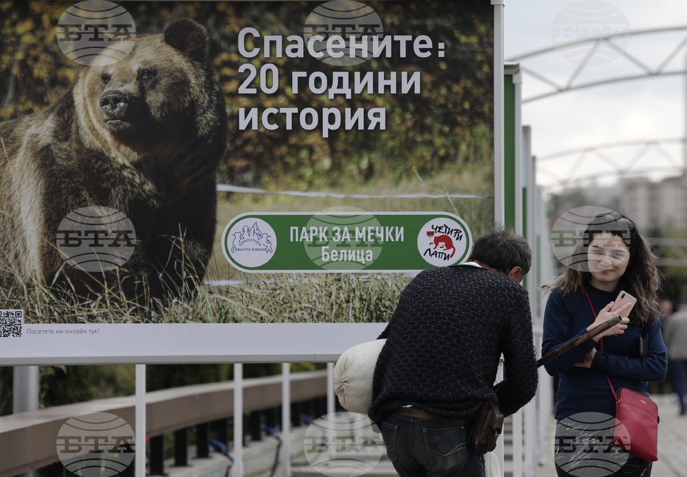 Фондация Четири лапи - Спасените: 20 години история - изложба