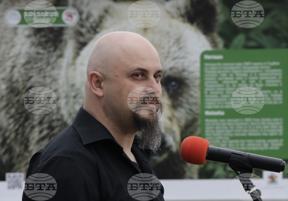 Фондация Четири лапи - Спасените: 20 години история - изложба