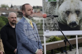 Фондация Четири лапи - Спасените: 20 години история - изложба