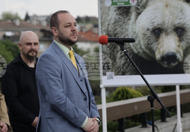 Фондация Четири лапи - Спасените: 20 години история - изложба