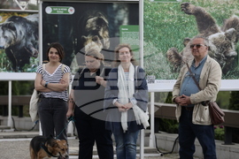 Фондация Четири лапи - Спасените: 20 години история - изложба