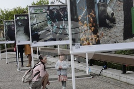 Фондация Четири лапи - Спасените: 20 години история - изложба