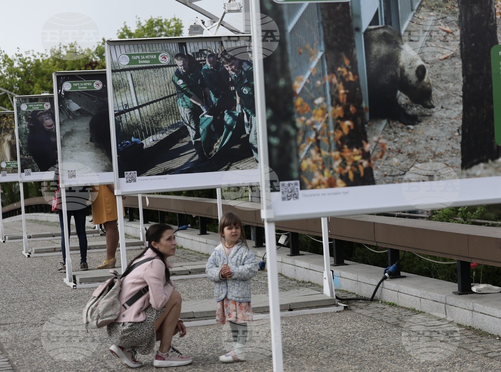 Фондация Четири лапи - Спасените: 20 години история - изложба