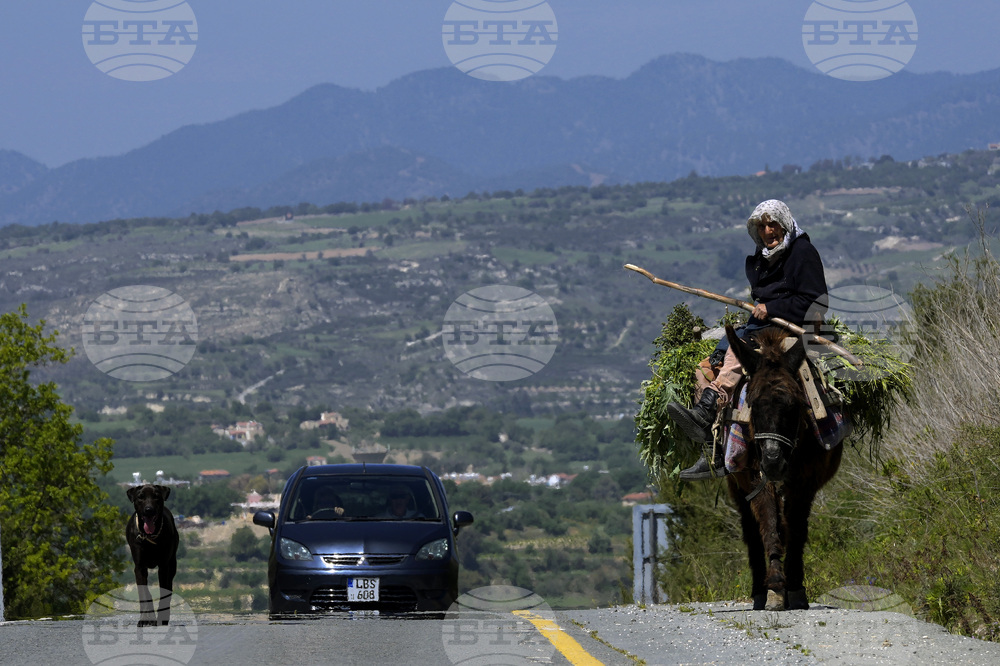 Кипър отбелязва значителен ръст на смъртните случаи по пътищата през 2024 г., сочи проучване на Европейския съвет за транспортна безопасност 