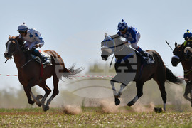 Исперих - конни надбягвания