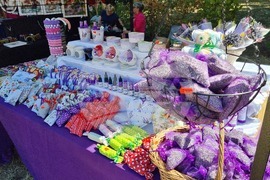 Румъния - WishFest - фестивал