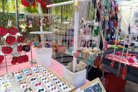 Румъния - WishFest - фестивал