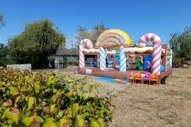 Румъния - WishFest - фестивал