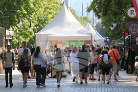 "Алея на книгата" - изложение