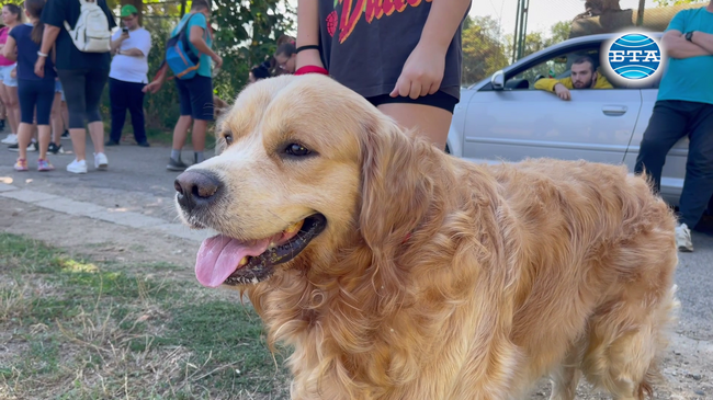 Десетки деца от Казанлък и техните домашни любимци участваха в инициативата "Празник за деца и кучета", организирана от местна фондация