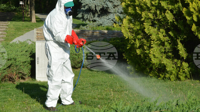 В Раднево и Гълъбово ще бъде извършена планова дезакаризация