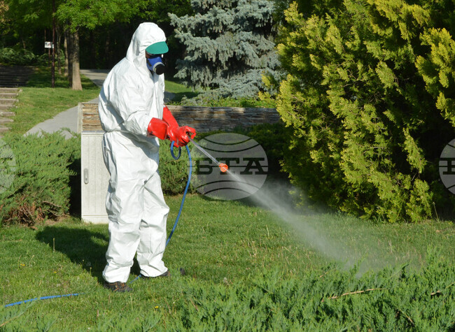 Община Сливен започва обработка срещу кърлежи на около 700 декара тревни площи