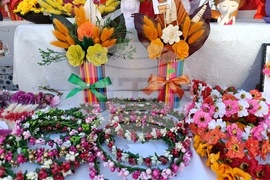 Румъния - “Балканик Фестивал”