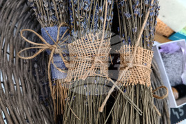 Румъния - “Балканик Фестивал”