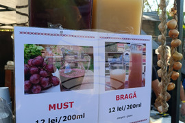 Румъния - “Балканик Фестивал”