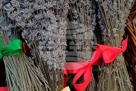 Румъния - “Балканик Фестивал”