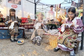 Румъния - “Балканик Фестивал”