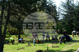 Хасково - алея "Южна пролет" - залесяване